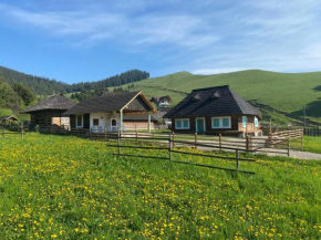 Hygge Loft Bucovina